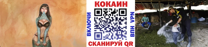 купить  цена  Фурманов  Кокаин 99% 
