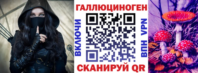 хочу   Фурманов  блэк спрут рабочий сайт  Псилоцибиновые грибы Psilocybine cubensis 